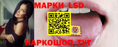 эйфоретик Берёзовский